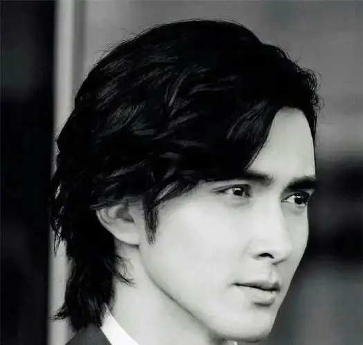 1983年出生的高伟光是黑龙江人,一开始出道的他并不是演员而是模特