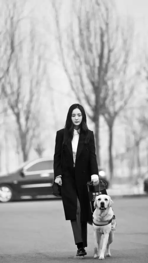 我是证人杨幂海报剧照图片