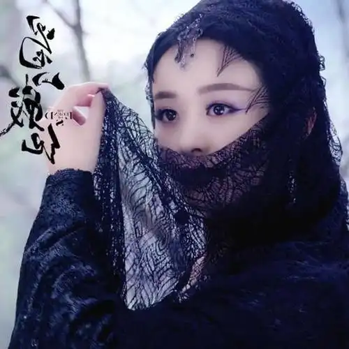 古装面纱美女收集只放图不评论也不要攻击演员严禁歪楼