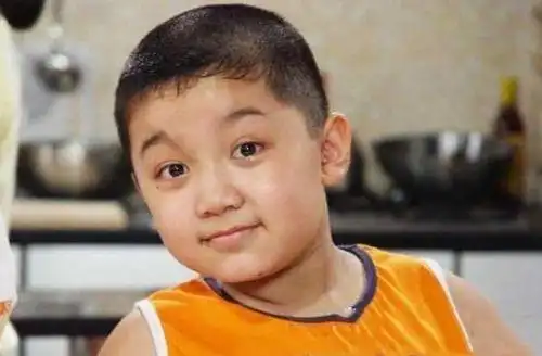 《家有儿女》刘星的死党"键盘"盛冠森变熟男帅到逆袭