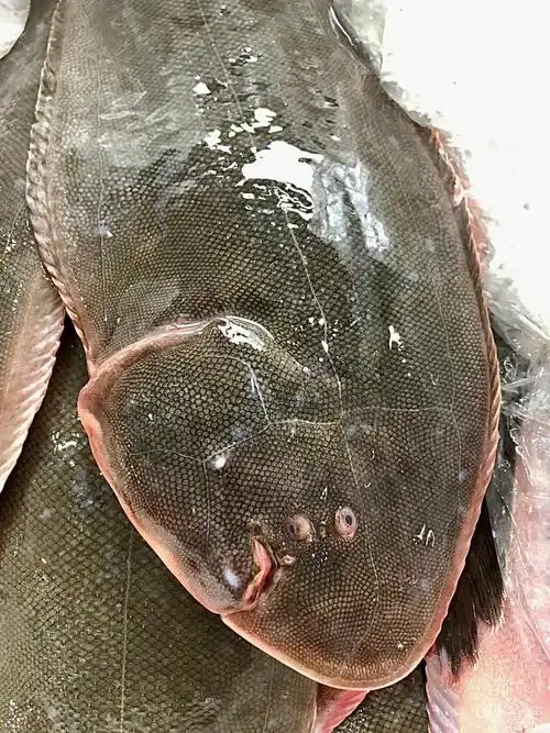 这种龙利鱼两斤多一条哦