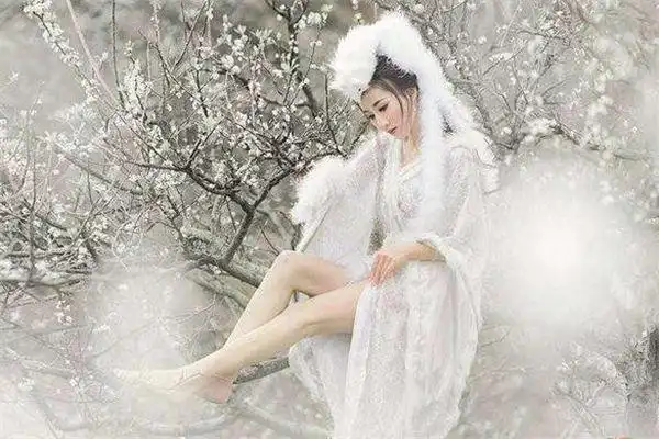 我还是没能忘记这些狐狸精