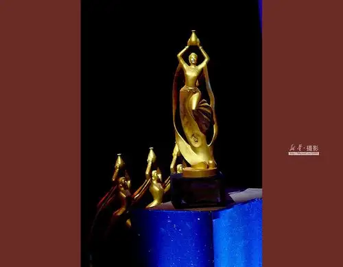 26集电视连续剧《国家审计》入围"飞天奖"