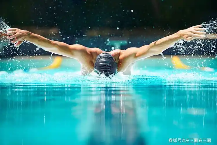 零基础教你学游泳——基本功篇