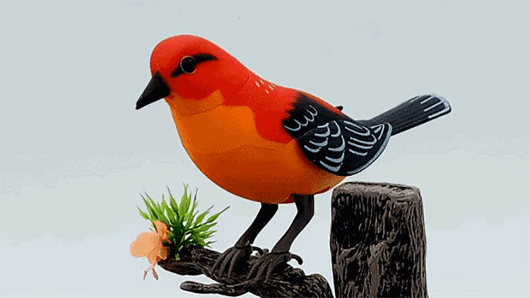 750_422gif 动态图 动图