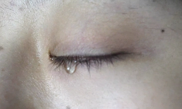 1484k实拍女孩眼睛流泪特写1114837灰色的短毛猫英国猫与明亮的黄色