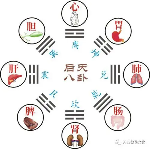 数易八卦与万物二