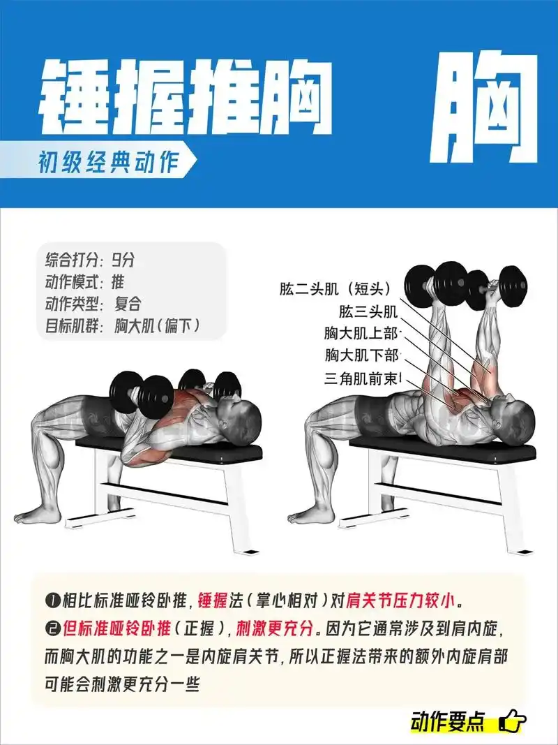 胸肌训练图解教学#健身教学知识分享#健身知识#健身 - 抖音