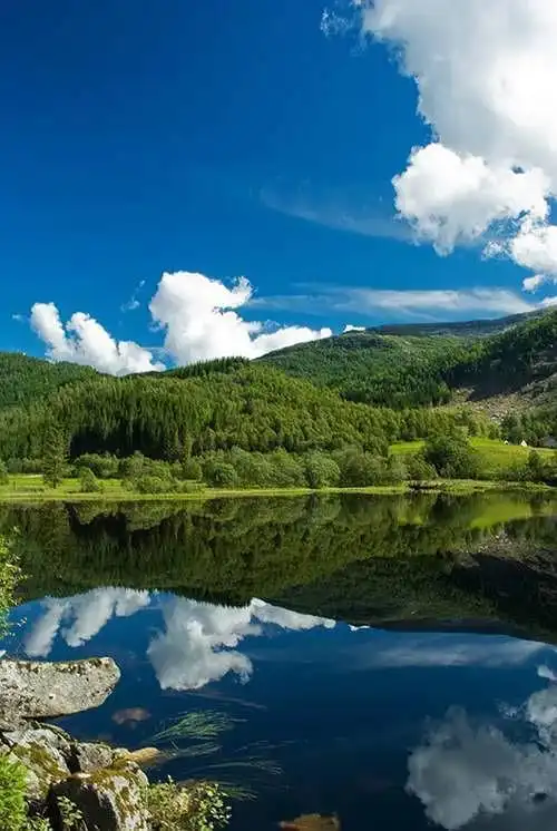 大气做人,细致做事!