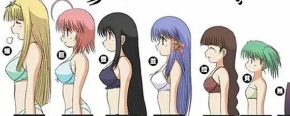 c罩杯做多大 爱问知识人