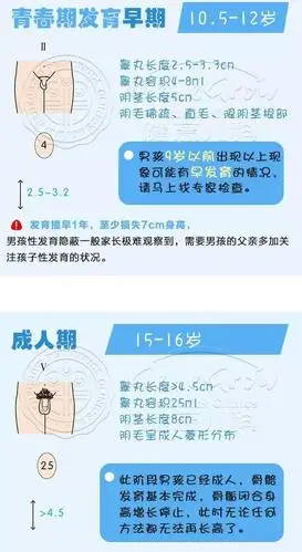 儿童性发育时间提前,从原先的11~12岁开始发育,提前到女孩平均9.
