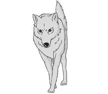 简笔画就分享到这里,了解更多狼 简笔画,狼简笔画图片,狼简笔画儿童画