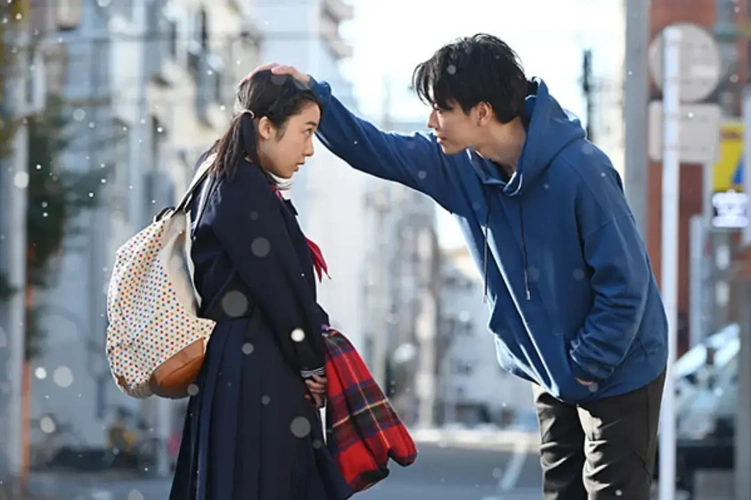 五部日剧推荐!《将恋爱进行到底》敲黑板高糖输出!