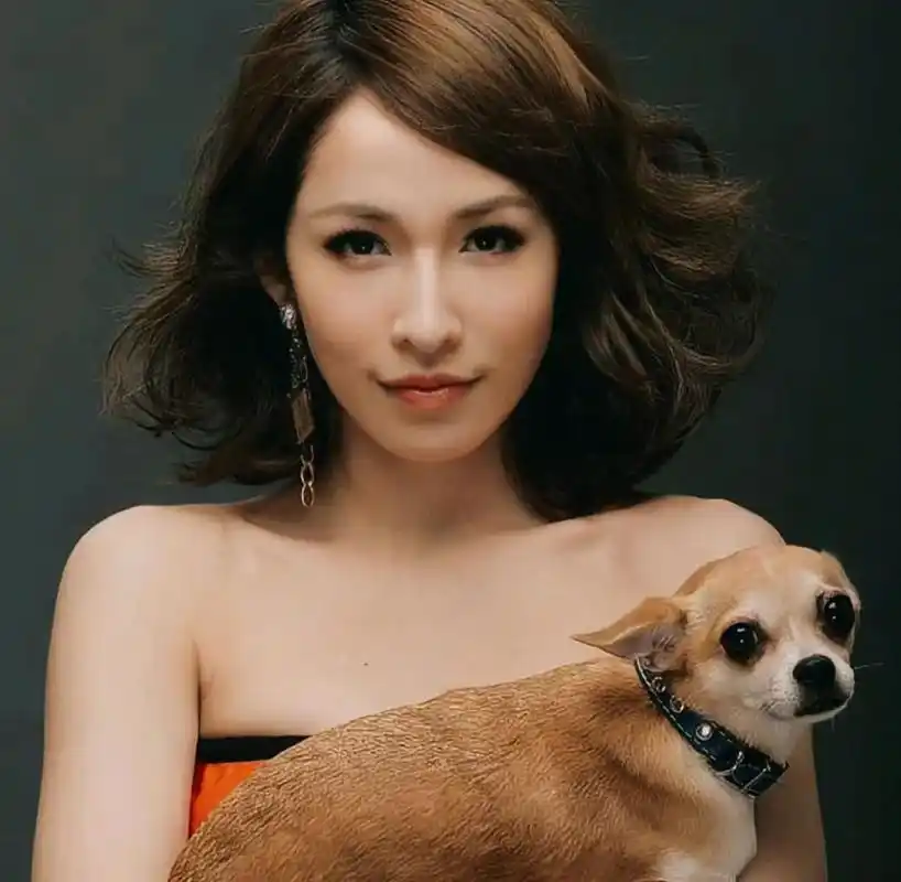 萧亚轩还回得来吗?