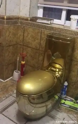 太沙雕了,你见过最丑的马桶是什么样的?网友评论:绝了