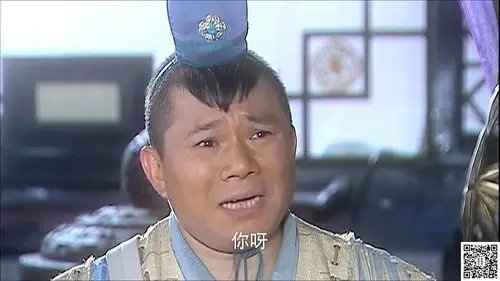 [百度云][内地][2012][龙巡天下][王灿/曾安琪