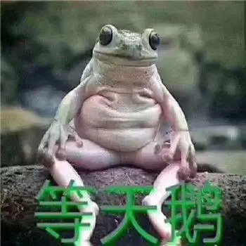 小天鹅就这样飞走了表情包合集