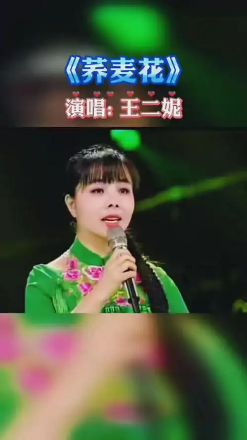 《荞麦花》王二妮