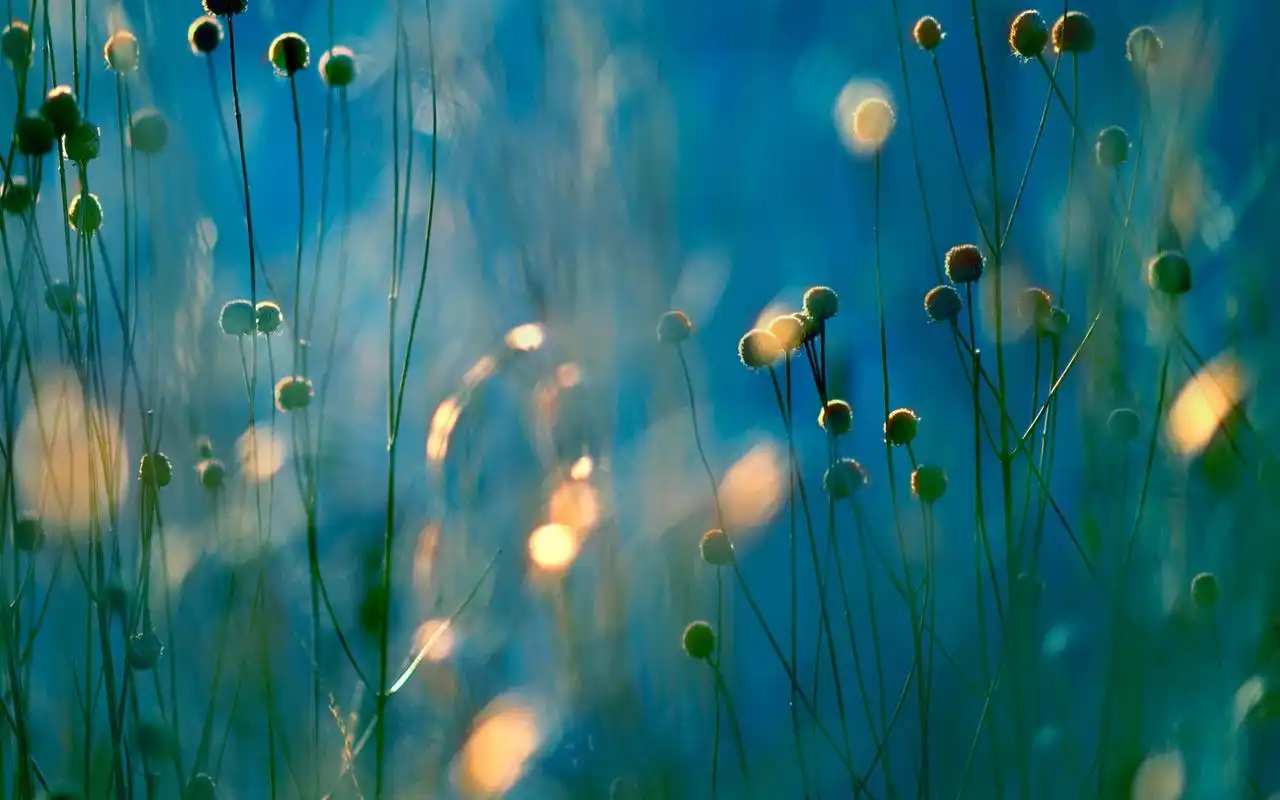 简约唯美的小清新风景图片桌面壁纸