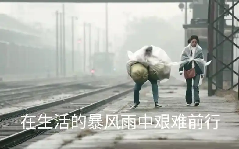 鸡毛飞上天 #在生活的暴风雨中艰难前行##表情包出处