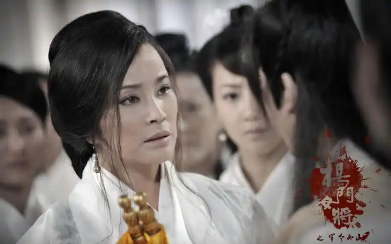 张柏芝《杨门女将之军令如山》,剧照图片,高清壁纸,中国影视-回车桌面