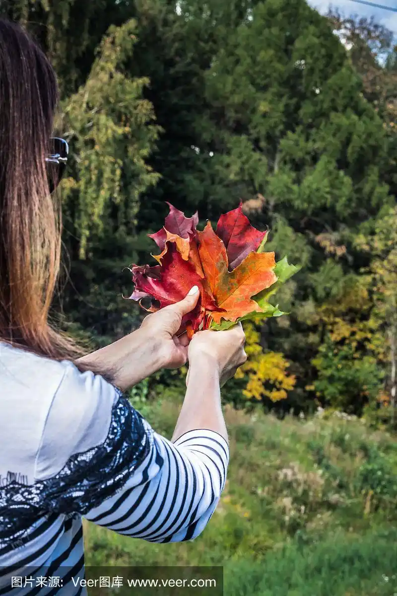 女孩手里拿着五颜六色的枫叶.选择性聚焦后视图.垂直图