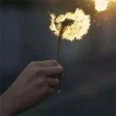 蒲公英头像2021图片唯美有意境你长得好像我下任男朋友