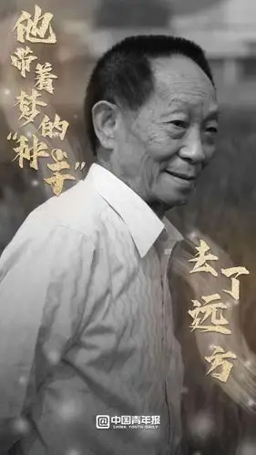 痛惜袁隆平逝世