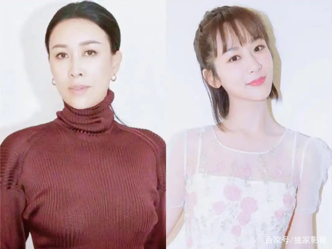 那英向杨紫道歉,说毛阿敏土,示爱蔡国庆遭拒的她又得罪人了?