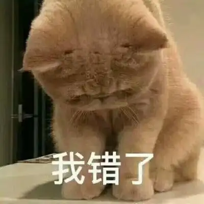 可爱猫猫撒娇表情包