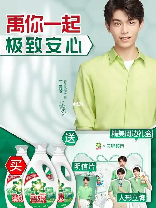 碧浪品牌大使丁禹兮