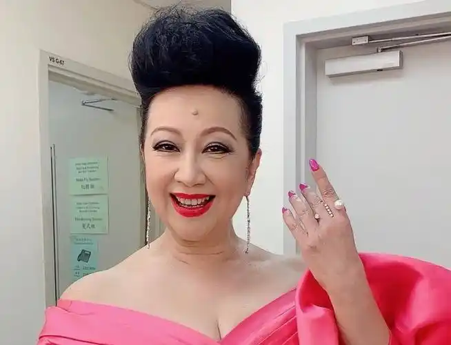 71岁薛家燕被曝感情生变与小17岁男友分手15年感情终结于此