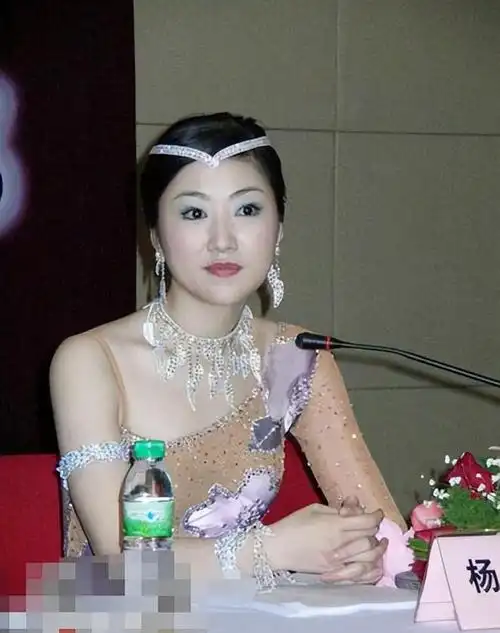 上海主持人杨蕾与土豆网总裁闪婚闪离搭档房海燕离开压力大