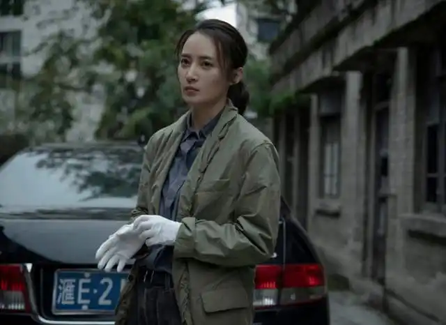 以上就是关于《迷雾追踪》这部电视剧相关问题的回答,这是一部值得