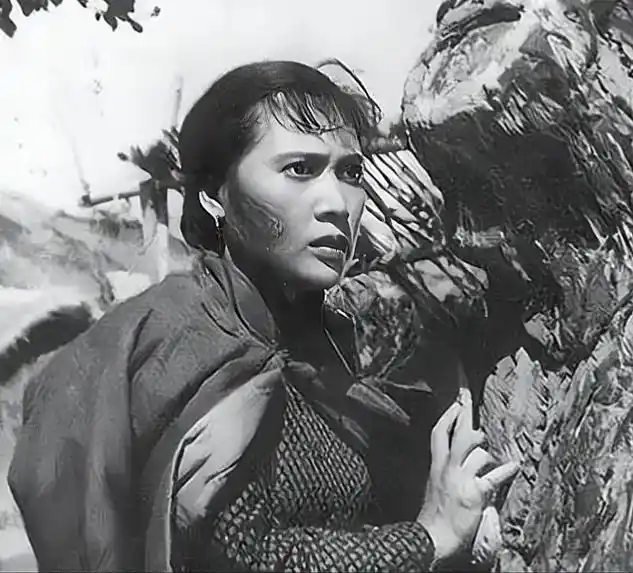 铁道游击队中林嫂扮演者《秦怡》逝世!享年100岁.投身演绎8 - 抖音