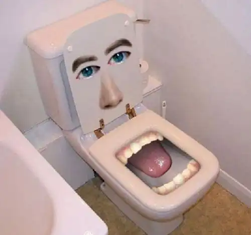 "长号,棺材,红唇大嘴" 全球另类厕所大合集
