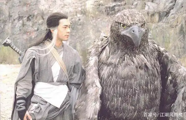 哪版"雕兄"才是杨过的最爱?有的凶恶,有的温顺,有的直接变异