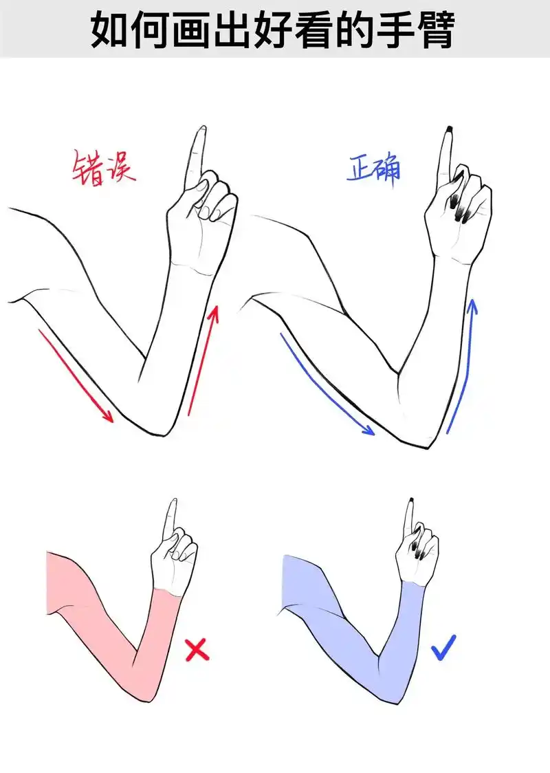 三角肌的尾部不可能夹在两块肌肉之间,再去多看