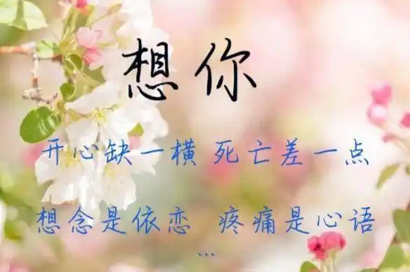 想你,我是红尘里,一个流着泪的过客_一个人_真爱_人生路