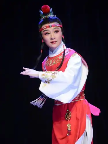 国粹经典黄梅戏红楼梦安徽黄梅戏剧院浓情演绎