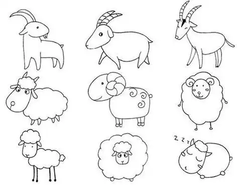 strong>羊简笔画羊简笔画 /strong>图片