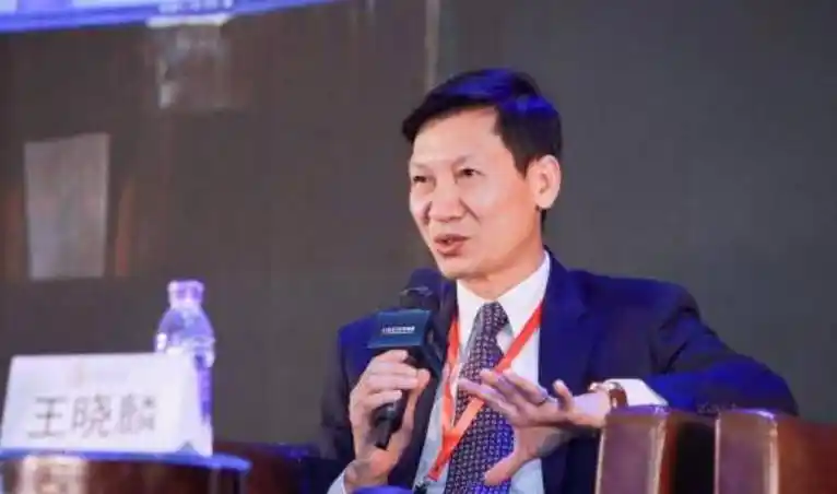 原创贪污国有资产骗取国家66亿后逃往美国王晓麟至今仍逍遥法外