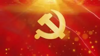 党徽入场红绸背景