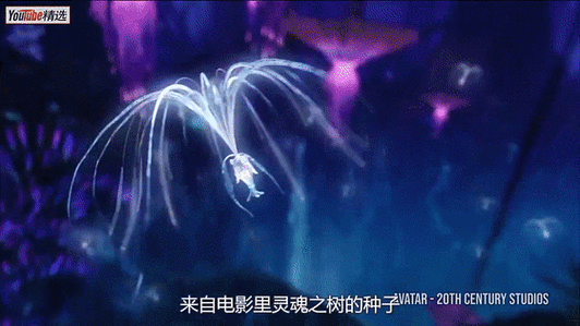 这个灯的灵感来源当然是阿凡达灵魂之树的种子充电的时候,轮胎上的