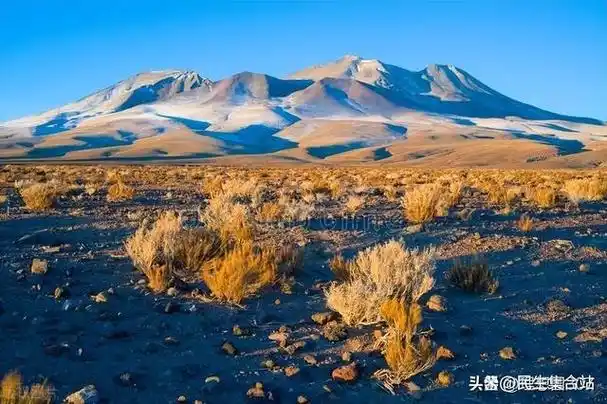 世界上其他国家的那些无人区,都长啥样儿