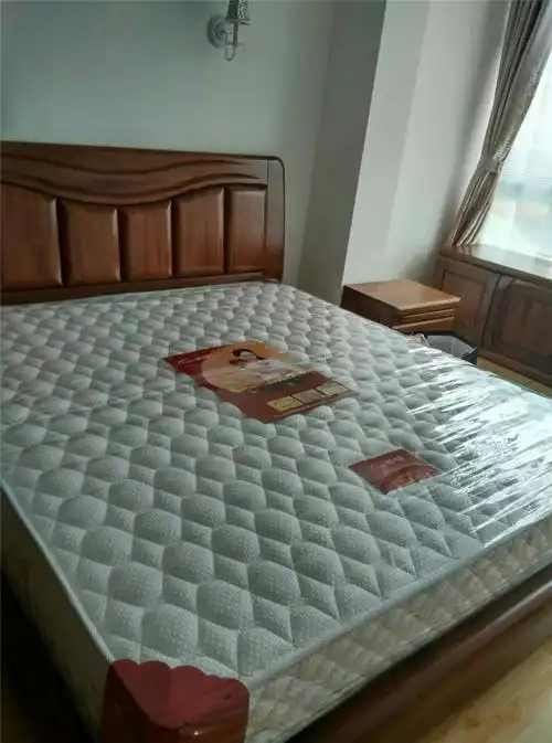 上海爱舒床垫席梦思舒恬993软硬两用3d防螨面料环保椰棕护脊床垫_爱舒