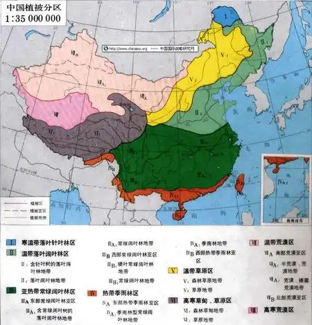 中国内地植被分布图