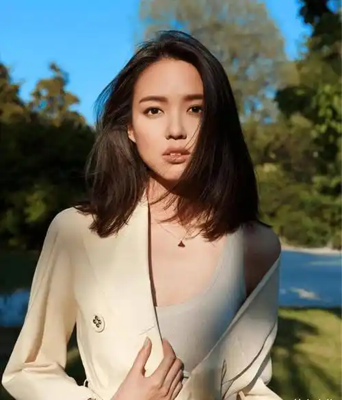 作为一个美人,特别是被冠以中国最美女人的称号,张梓琳自然少不了追求