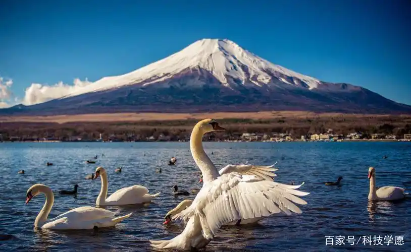 富士山,不得不说富士山是日本最著名最有代表性的景点,也是日本最高的