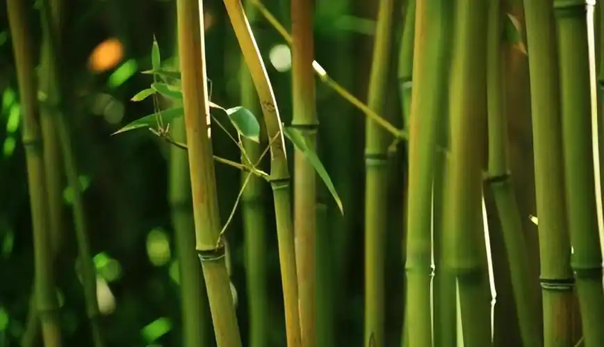 33岁的吴亦凡,就这样改写了结局,留下的几个疑问,是时候解开了